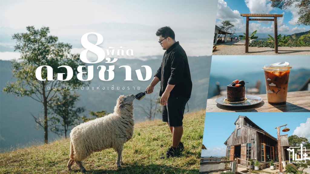 ดอยช้าง, เชียงราย, ที่เที่ยวดอยช้าง, จุดเช็คอินดอยช้าง, ที่พักดอยช้าง, จุดเช็คอินเชียงราย, ที่เที่ยวเชียงราย, Chiangrai