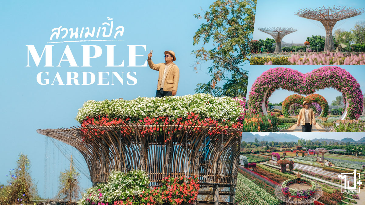สวนเมเปิ้ลการ์เด้น,ที่เที่ยวกาญจนบุรี,รีวิวกาญจนบุรี,กาญจนบุรี , MapleGardens, Kanchanaburi, petfriendly