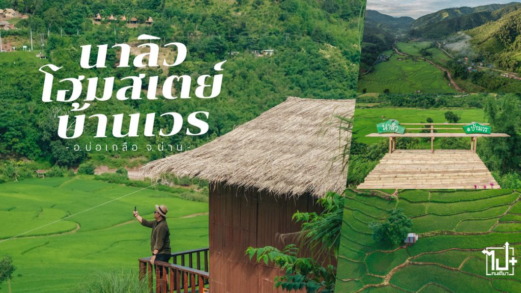 นาลิวโฮมสเตย์บ้านเวร, นาลิวโฮมสเตย์, บ้านเวร , นาขั้นบันไดบ้านเวร, บ่อเกลือ, ที่พักบ่อเกลือ, โฮมสเตย์, โฮมสเตย์บ้านเวร, ที่พักน่าน, ที่เที่ยวน่าน, รีวิวน่าน, NaLiwHomestay, Homestay, Banwen, Bokluea, Nan