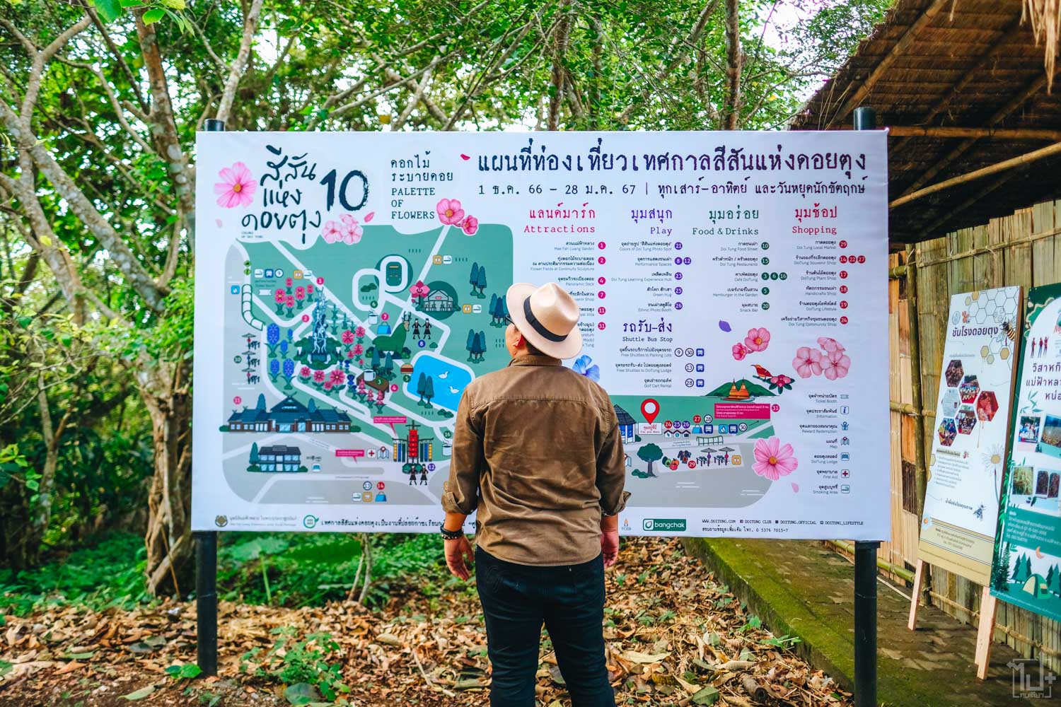 สีสันแห่งดอยตุงครั้งที่10,ดอกไม้ระบายดอย,ColorsofDoiTung10,PaletteofFlowers,เทศกาลแห่งความสุขที่สูงที่สุดในประเทศไทย