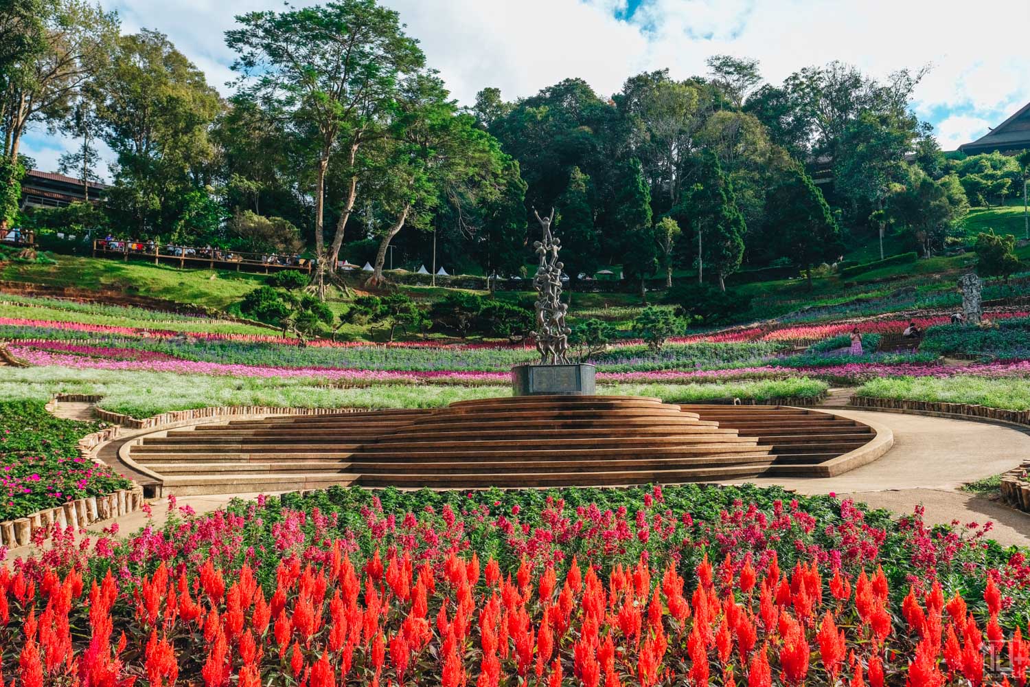 สีสันแห่งดอยตุงครั้งที่10,ดอกไม้ระบายดอย,ColorsofDoiTung10,PaletteofFlowers,เทศกาลแห่งความสุขที่สูงที่สุดในประเทศไทย