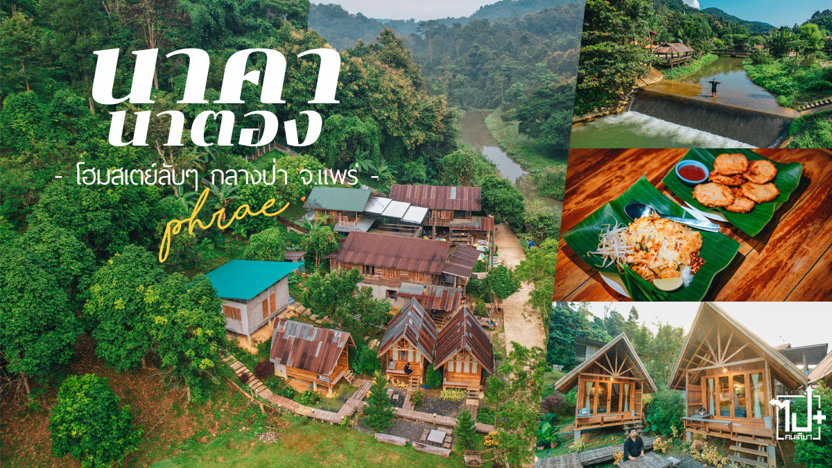 โฮมสเตย์กลางป่า,แพร่,แพร่รีวิว,เที่ยวแพร่,โฮมสเตย์แพร่,ที่พักแพร่,นาคานาตอง,บ้านนาตอง,ช่อแฮ,NakaNatongHome,Phrae