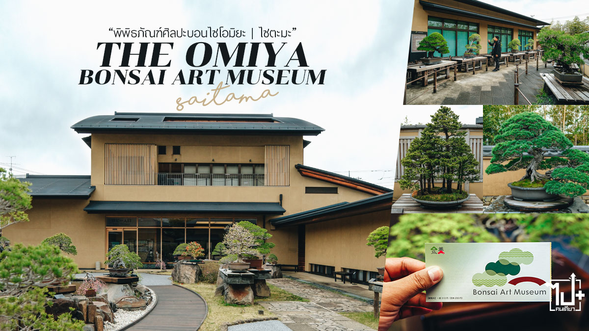 บอนไซ,หมู่บ้านบอนไซ,พิพิธภัณฑ์ศิลปะบอนไซโอมิยะ,เที่ยวญี่ปุ่น,ญี่ปุ่น2025,เที่ยวไซตามะ,ไซตามะ,TheOmiyaBonsaiArtMuseum,Bonsai,VisitJapan