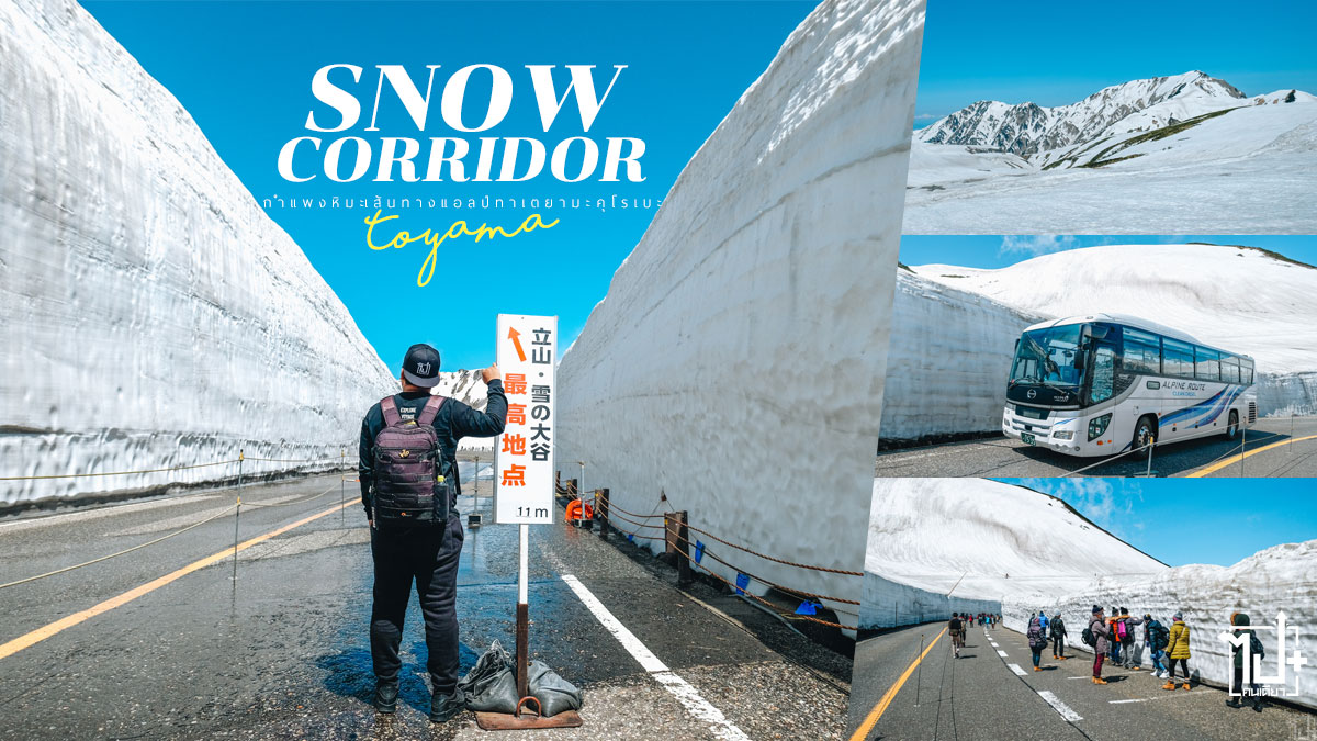 กำแพงหิมะ,กำแพงหิมะเทยามะ,เทยามะ,เที่ยวญี่ปุ่น,TateyamaSnowCorridor,Tateyama,TateyamaKurobeAlpineRoute,JapanAlps,VisitJapan